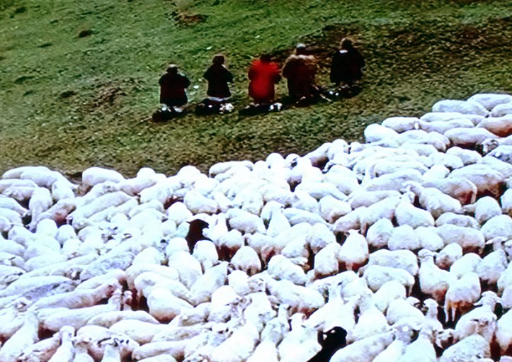 IMG_2016-02-06 22-47-59