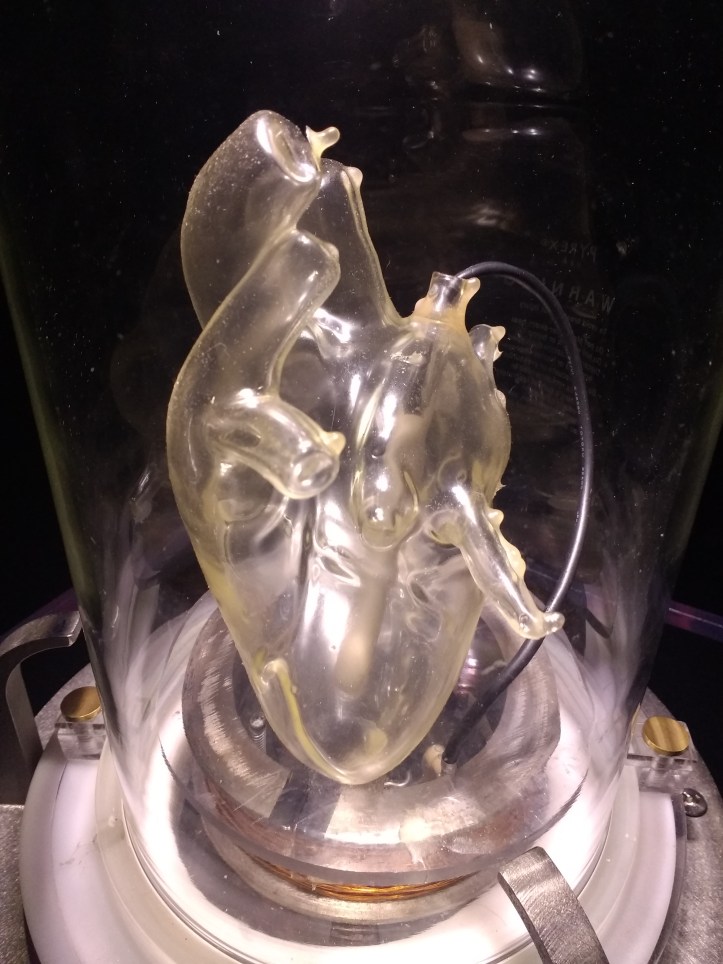 Catherine Richards, "l'intrus" New Media Gallery Anvil Centre New Westminster March 2018