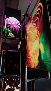 Hito Steyerl
