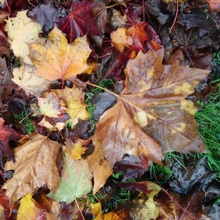 img_20191106_000358_324