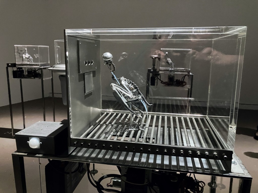 Matt Collishaw installation NEW MEDIA GALLERY 2024